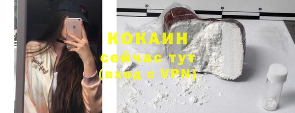 мдпв Осташков
