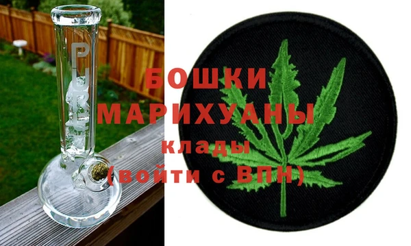 ГАЛЛЮЦИНОГЕННЫЕ ГРИБЫ Пересвет
