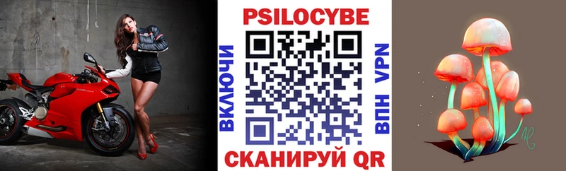 закладки  Суворов  mega зеркало  Галлюциногенные грибы Magic Shrooms 