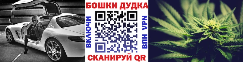 Бошки Шишки гибрид  Суворов 